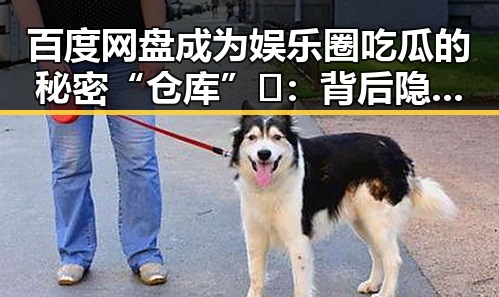 百度网盘成为娱乐圈吃瓜的秘密“仓库”🤫:背后隐藏的信息流动密码