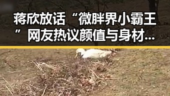 蒋欣放话“微胖界小霸王” 网友热议颜值与身材自由